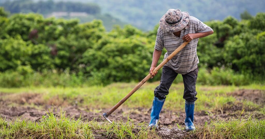 Aposentadoria Rural: requisitos, idade mínima e como solicitar via INSS